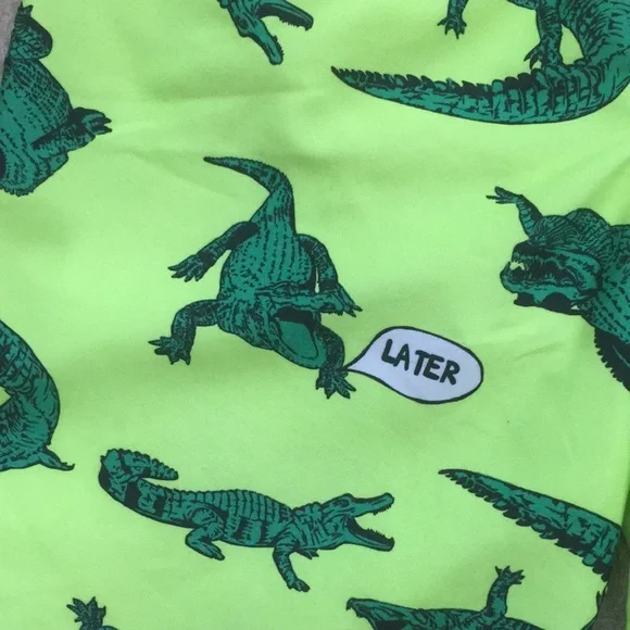 Carter’s Boys Alligator Gator Rashguard and Swim Shorts or Trunks - Picture 11 of 15